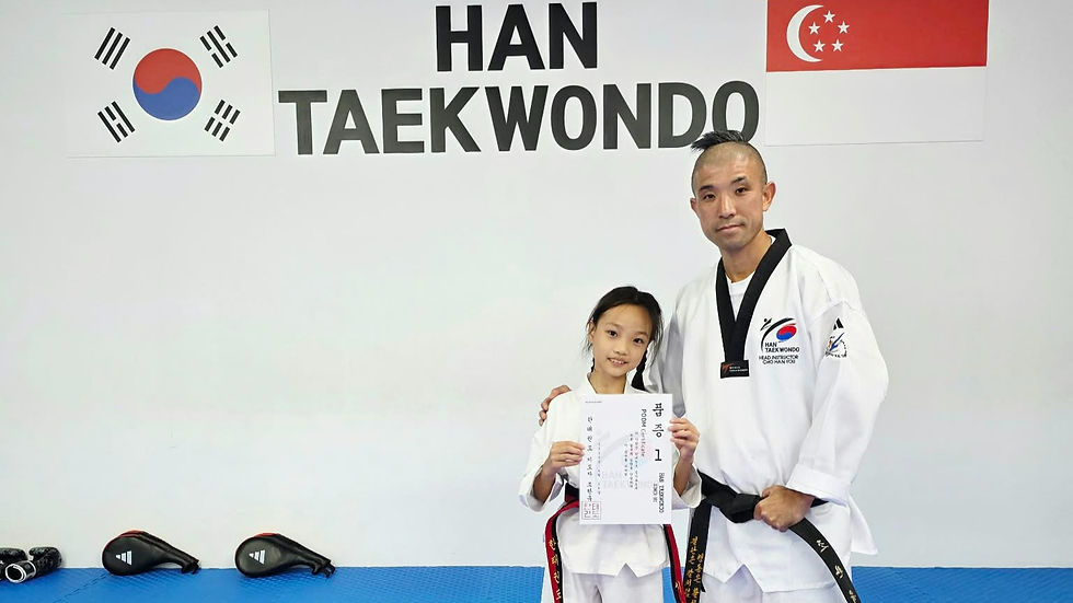 Han Taekwondo 19th Pre-Grading Assessment Highlights