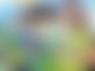 Prazo para adesão ao PNLD começa nesta segunda-feira (30)