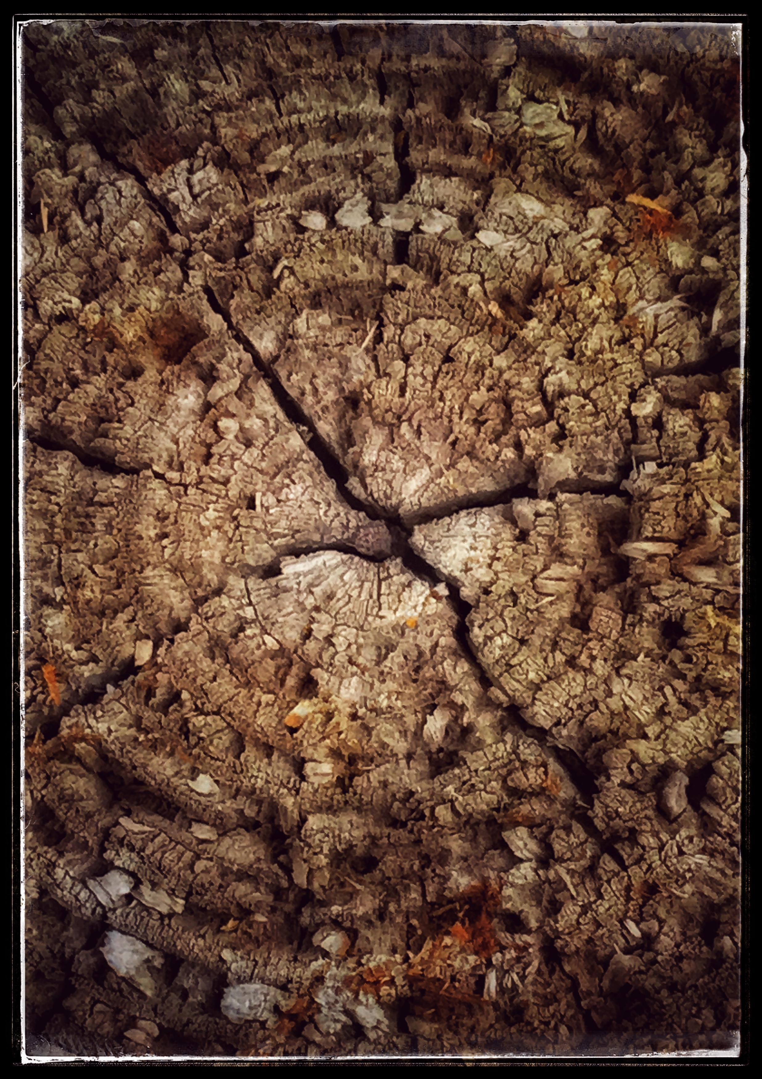 Log Slice