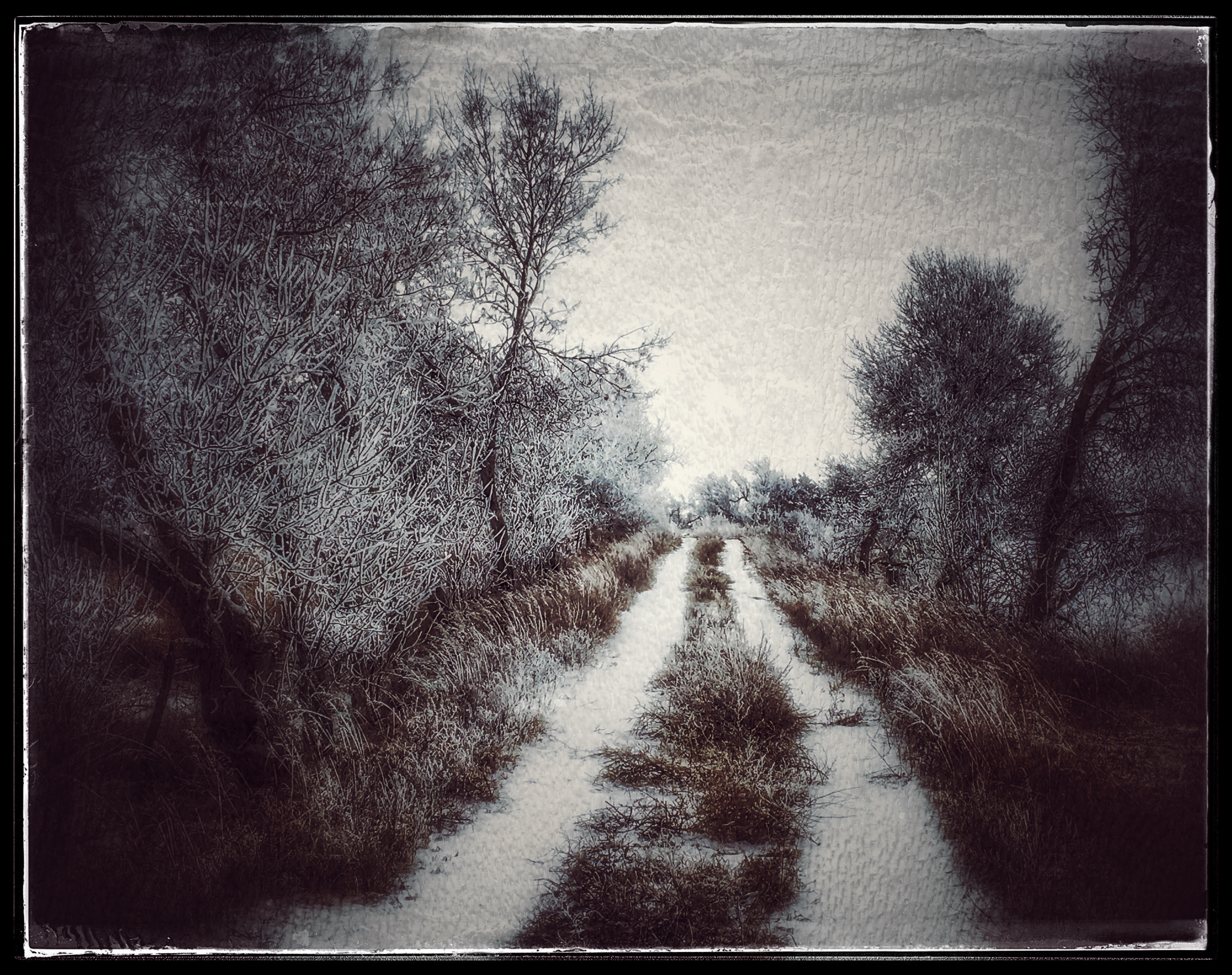 Snow Road