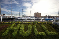hull 2