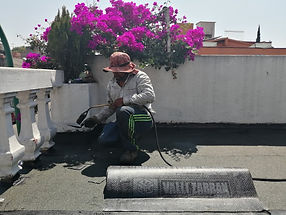 IMG_20190508_152924.jpg