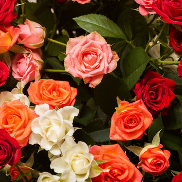 15 beautiful bouquets of roses for weddings
