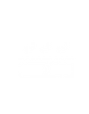 forms-05.png