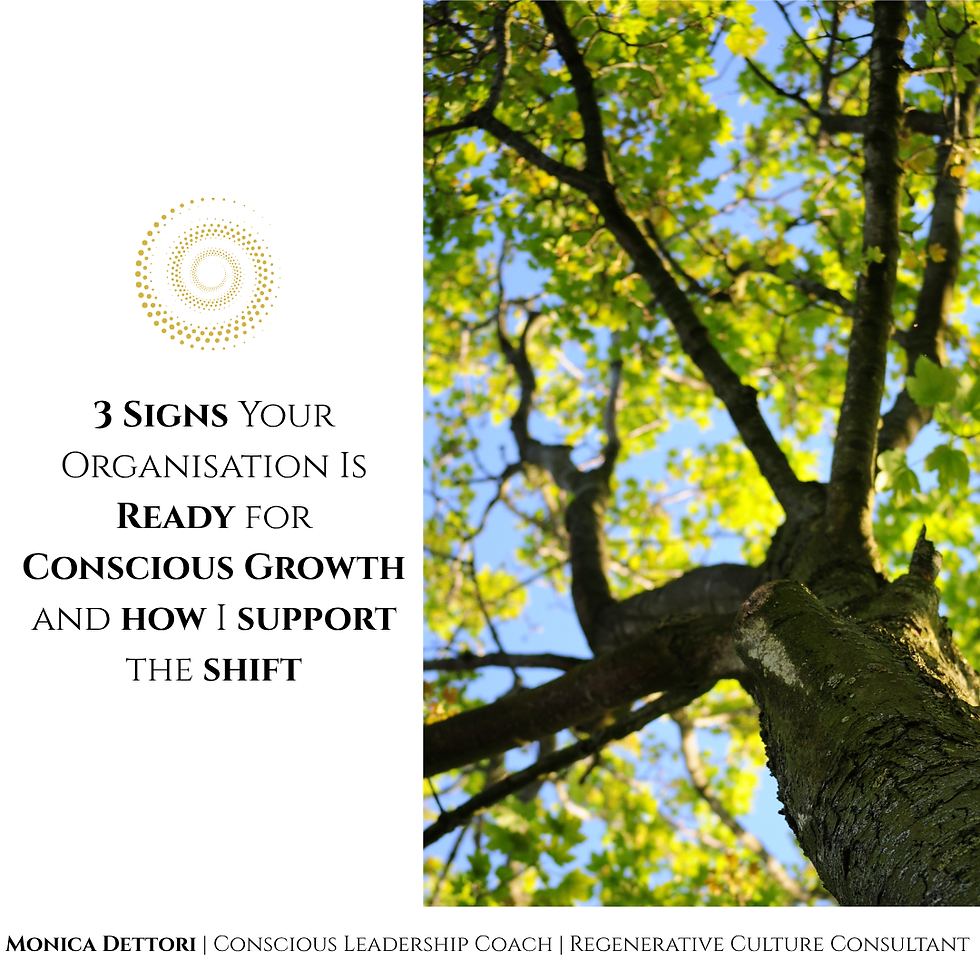 3 Signs your organisation is ready for conscious growth