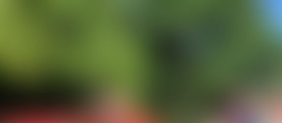 Lady Bird Lake - Kayaking