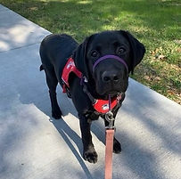 Screenshot 2025-10-29 at 6.25.58 PM.png