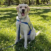 Screenshot 2025-10-29 at 6.17.39 PM.png