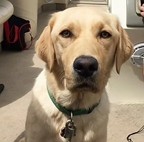 Screenshot 2025-10-29 at 6.02.33 PM.png