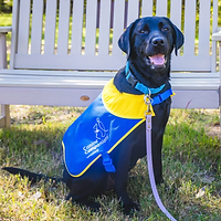 Screenshot 2025-12-12 at 1.00.10 PM.png