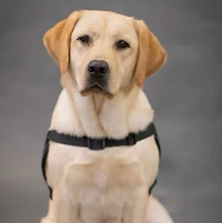 Screenshot 2025-10-29 at 6.21.49 PM.png