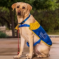 Screenshot 2025-10-29 at 6.29.27 PM.png