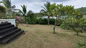 WhatsApp Image 2026-03-31 at 19.02.37 (1).jpeg