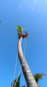 WhatsApp Image 2026-04-02 at 18.55.38.jpeg