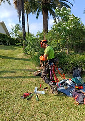 WhatsApp Image 2026-03-21 at 19.19.47 (3).jpeg