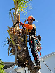 WhatsApp Image 2026-04-20 at 17.00.04 (2).jpeg