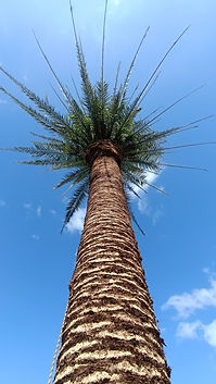 WhatsApp Image 2026-04-28 at 19.41.23 (1).jpeg