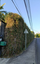 WhatsApp Image 2026-03-21 at 19.19.44 (2).jpeg