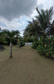 WhatsApp Image 2026-03-31 at 19.01.45.jpeg