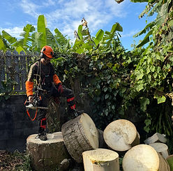 WhatsApp Image 2026-04-20 at 16.57.10 (2).jpeg