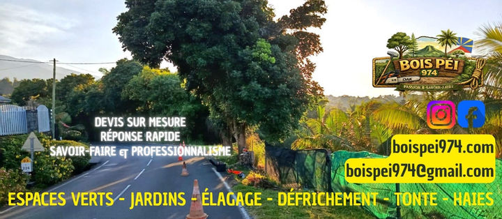 BOIS PEI COUV FB.jpg