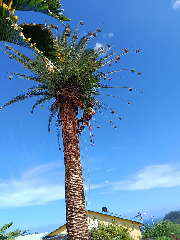 WhatsApp Image 2026-04-27 at 19.09.14.jpeg