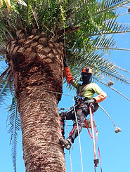 WhatsApp Image 2026-04-27 at 19.09.11.jpeg