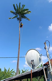 WhatsApp Image 2026-02-23 at 14.11.41 (1).jpeg