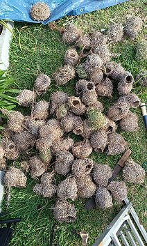 WhatsApp Image 2026-04-28 at 19.41.23.jpeg