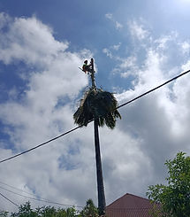 WhatsApp Image 2026-02-23 at 14.11.40.jpeg