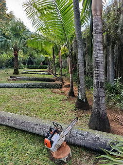 WhatsApp Image 2026-03-21 at 19.19.50 (2).jpeg