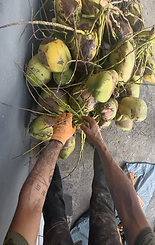 Capture d’écran 2026-04-12 à 11.41.26.png