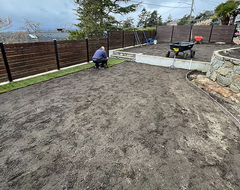 new lawn install_edited.jpg