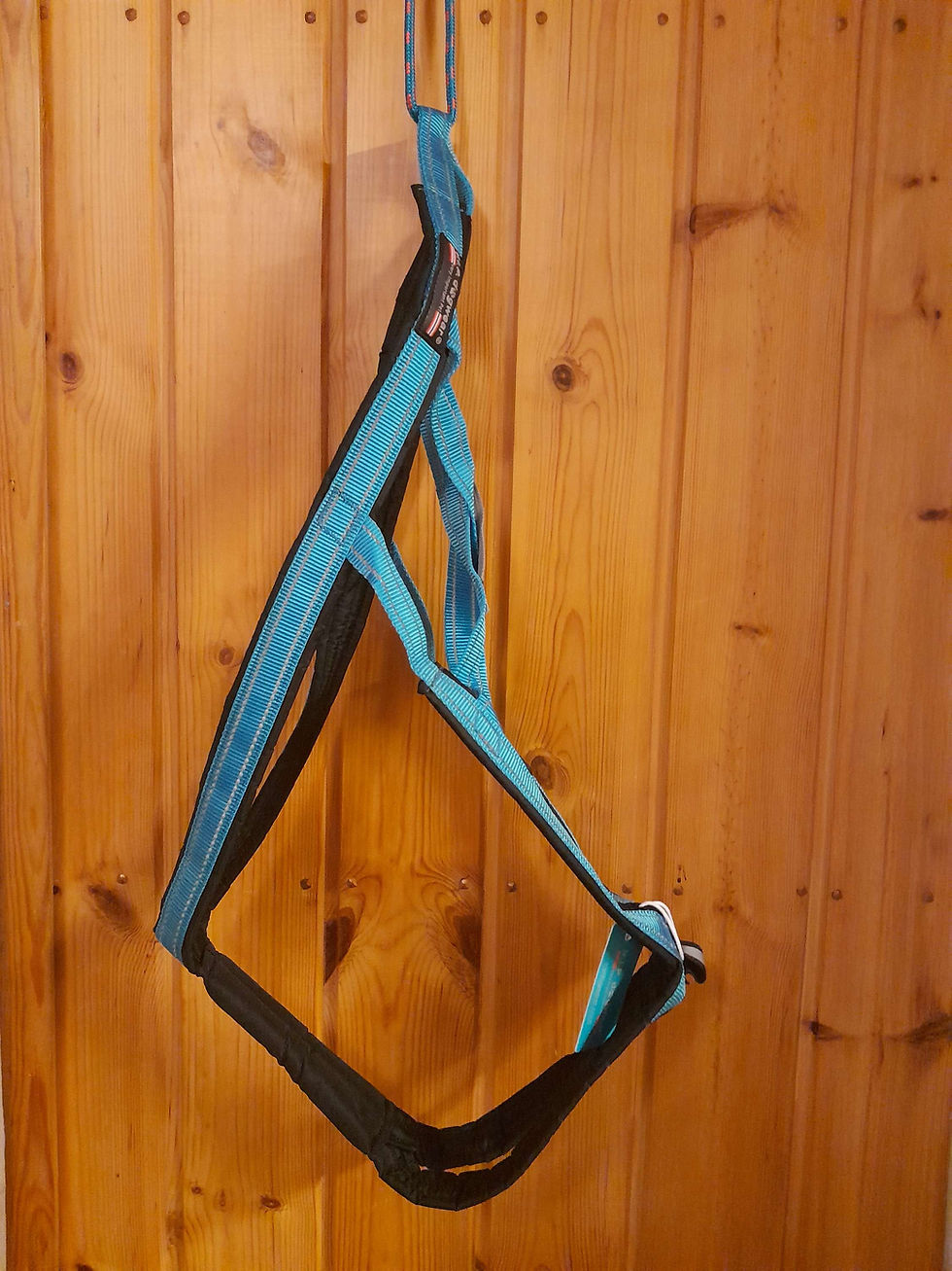 Thumbnail: V.I.P. X-Back Harness