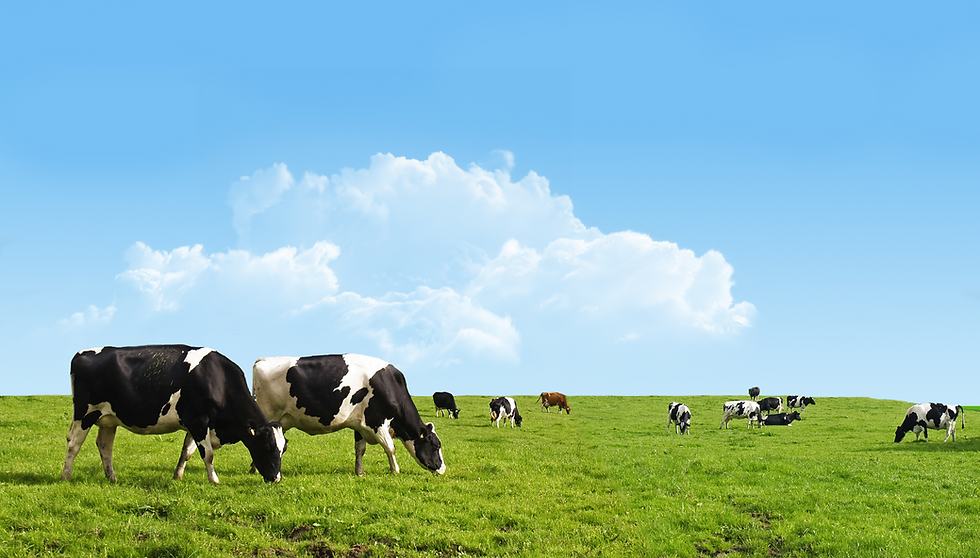 AdobeStock_82916061 (1).png