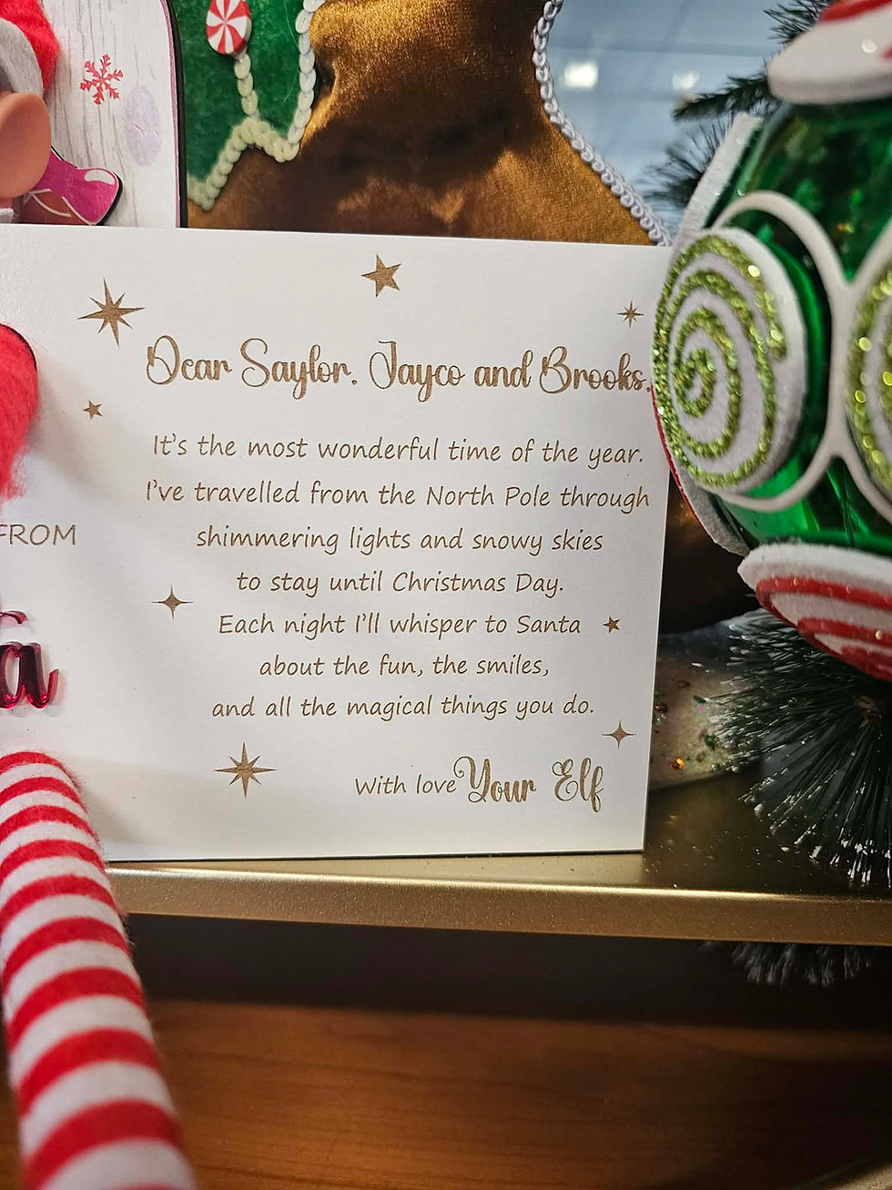 Thumbnail: A Special Delivery from the North Pole