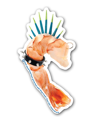 Shopfresh_magnets_Individual_Shrimp.png