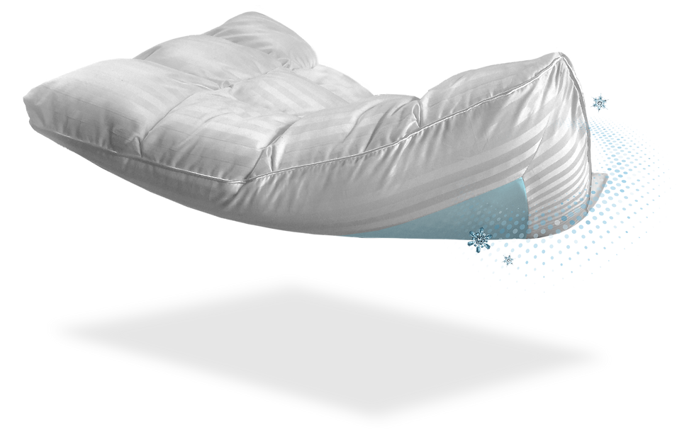 FloatingPillow.png