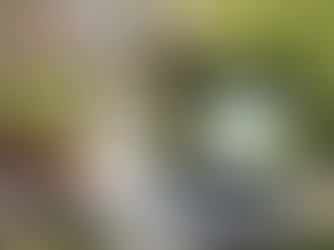 Effortless Online Booking for Landscaping Services at Meek Brothers