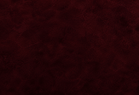 2026.SU Background.png