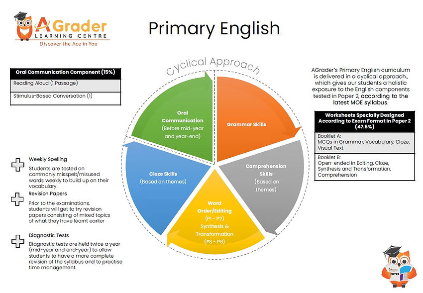 Primary Eng.JPG
