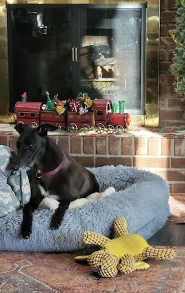 Aussie Love Me Again_edited.jpg