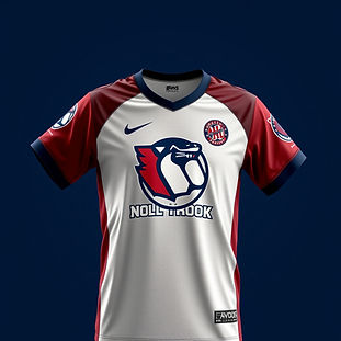 sports team apparel .jpg