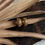 Thumbnail: Serpent Scale Hoops