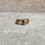 Thumbnail: 14KT HGE Vintage Etched Marquise Ring - Size 7