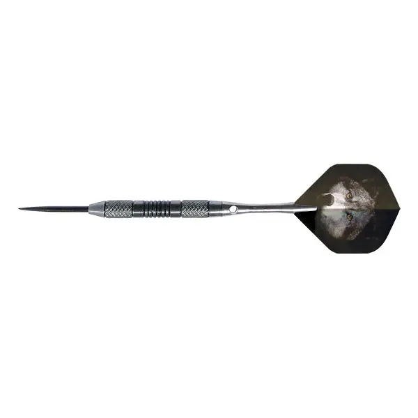 Thumbnail: Hunter 80% Tungsten Darts