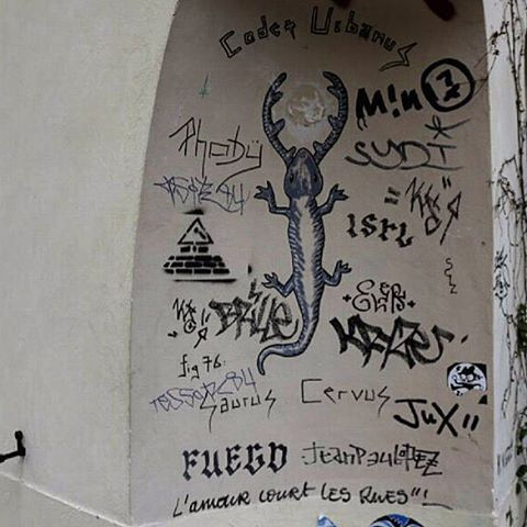 codex urbanus - 2015