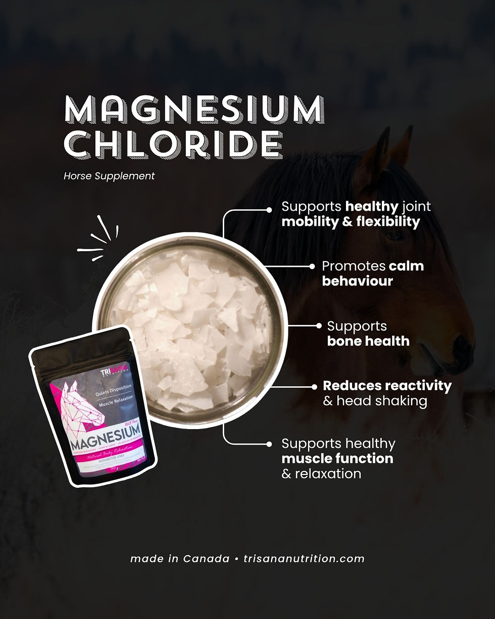 Thumbnail: Equine Magnesium Chloride