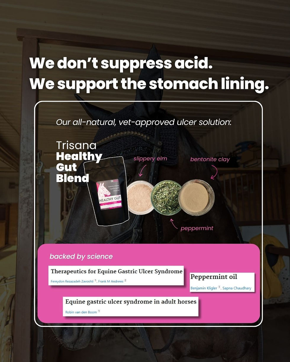 Thumbnail: Equine Healthy Gut Blend