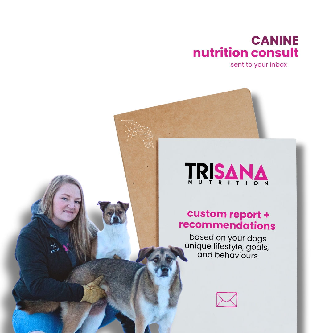 Canine Nutrition Consult